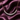 ATJ - 129 rose gold graduated riviera curve necklace on plum satin