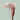 Diamond Tennis Drop Earrings | Square Crop