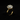 Luxury lab-grown diamond solitaire ring on dark background