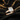 Rose Gold Ring